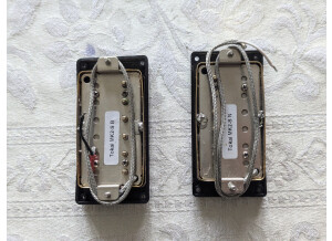 PXL 20241027 131726331