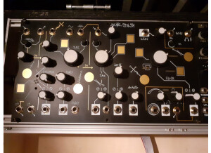 Make Noise Strega (73126)