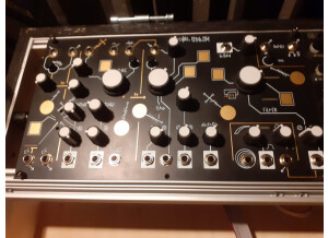 Make Noise Strega (42545)