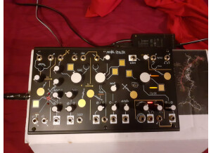 Make Noise Strega (6493)