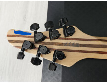 Mayones Regius 6 (78534)