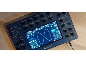 Beetlecrab Audio Vector II