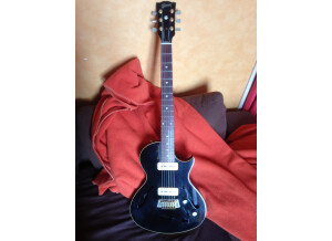 Gibson BluesHawk (44468)