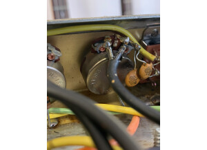 Fender Bassman Ten (87449)