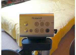 Roland HD-1 (82796)