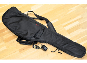 Yamaha SLG100S (2)
