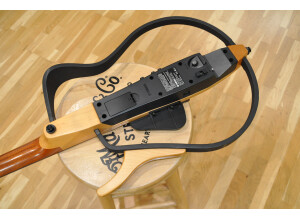 Yamaha SLG100S (12)