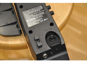 Yamaha SLG100S (16)