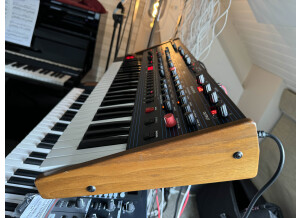 Dave Smith Instruments OB-6 (3726)