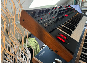 Dave Smith Instruments OB-6 (66090)