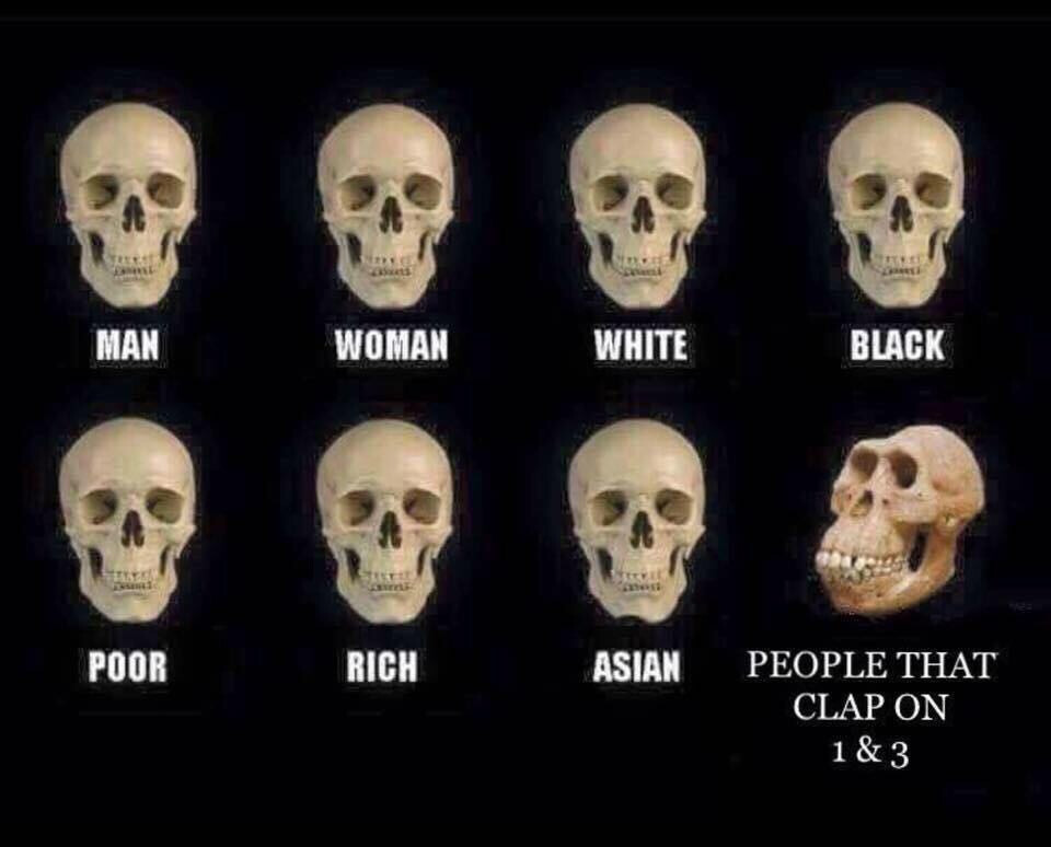 6263502.jpeg 6263502.jpeg