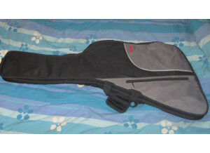 Epiphone Original Firebird (90568)
