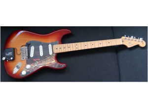 Fishman TriplePlay Wireless (16149)
