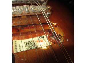 Epiphone Les Paul Studio (22531)
