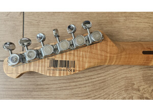 Harley Benton TE-25TH (46090)