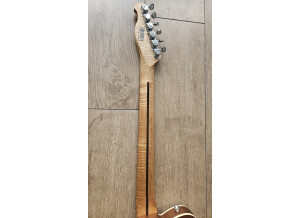 Harley Benton TE-25TH (92332)