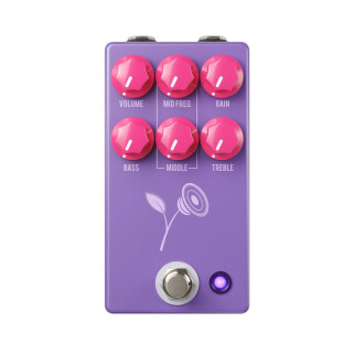 The Violet The Violet