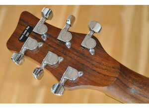 Framus Panthera Studio Custom 2007 (12)