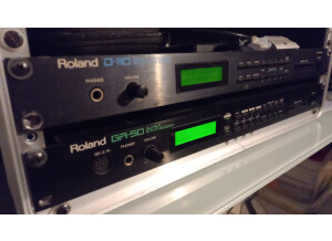 Roland GR-50 (62060)