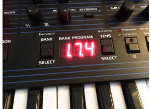 Dave Smith Instruments OB-6 (36777)