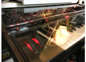 Dave Smith Instruments OB-6 (63327)
