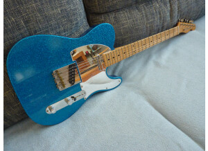 Fender J Mascis Telecaster (76252)