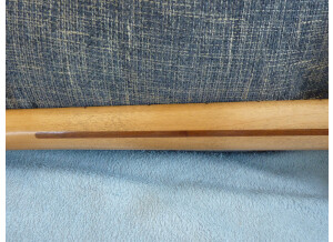 Fender J Mascis Telecaster (61604)