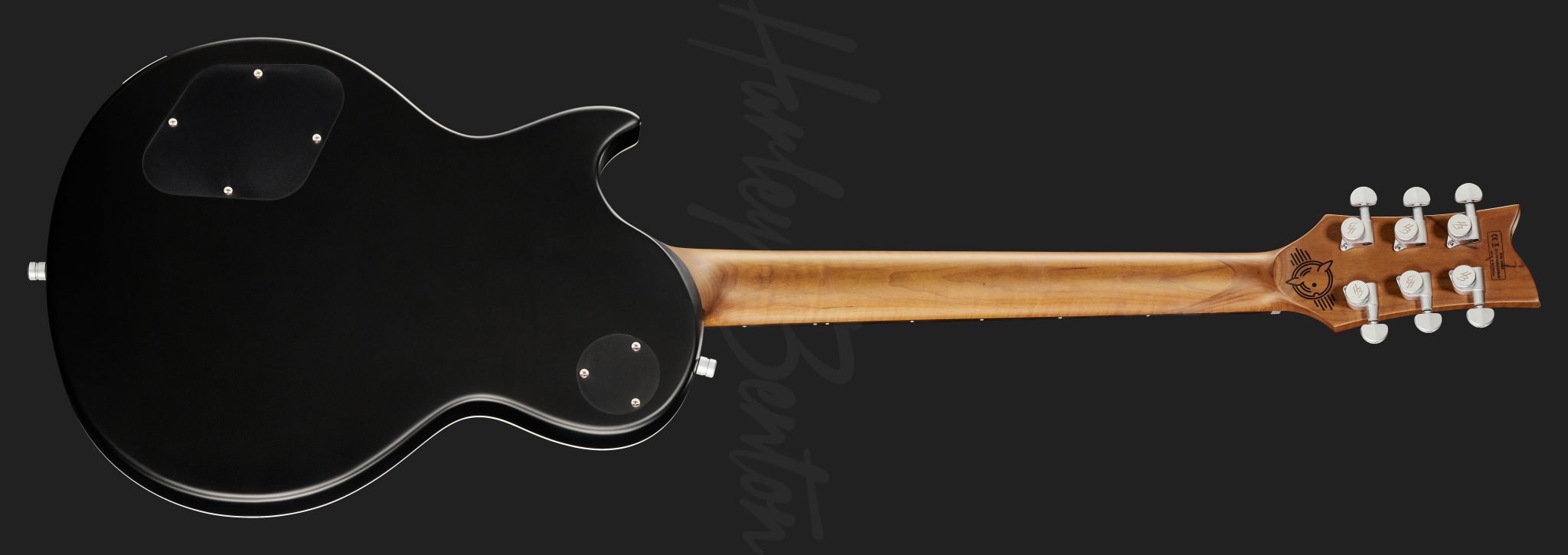 Harley Benton Agufish STD Signature : Agufish STD SignatureBlackBack
