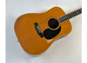Martin & Co D-35 (20443)