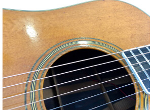 Martin & Co D-35 (69973)
