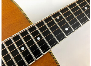 Martin & Co D-35 (8559)