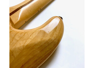 Fender Alternate Reality The Sixty-Six (13863)