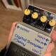 DSD-2 Digital Sampler/Delay DSD-2 Digital Sampler/Delay