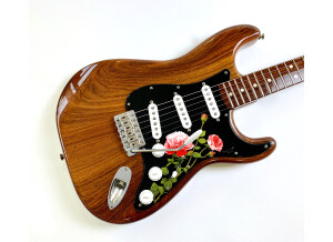 Fender Custom Shop Masterbuilt '69 Relic Stratocaster (by Greg Fessler) (26017)