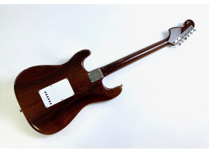 Fender Custom Shop Masterbuilt '69 Relic Stratocaster (by Greg Fessler) (78802)