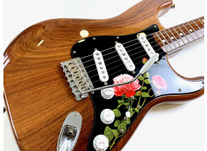 Fender Custom Shop Masterbuilt '69 Relic Stratocaster (by Greg Fessler) (42918)