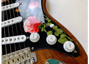 Fender Custom Shop Masterbuilt '69 Relic Stratocaster (by Greg Fessler) (57118)