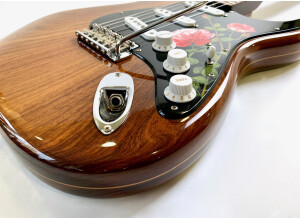 Fender Custom Shop Masterbuilt '69 Relic Stratocaster (by Greg Fessler) (9380)