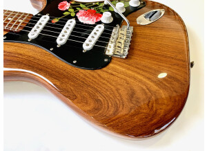 Fender Custom Shop Masterbuilt '69 Relic Stratocaster (by Greg Fessler) (70621)