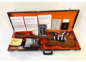 Fender Custom Shop Masterbuilt '69 Relic Stratocaster (by Greg Fessler) (96683)