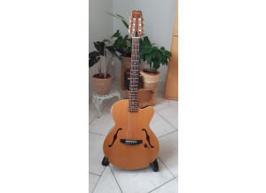 Yamaha AEX500N2 (59909)