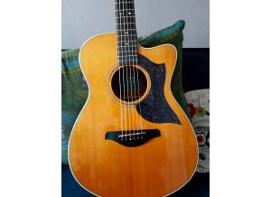 Yamaha AC5R ARE (76337)