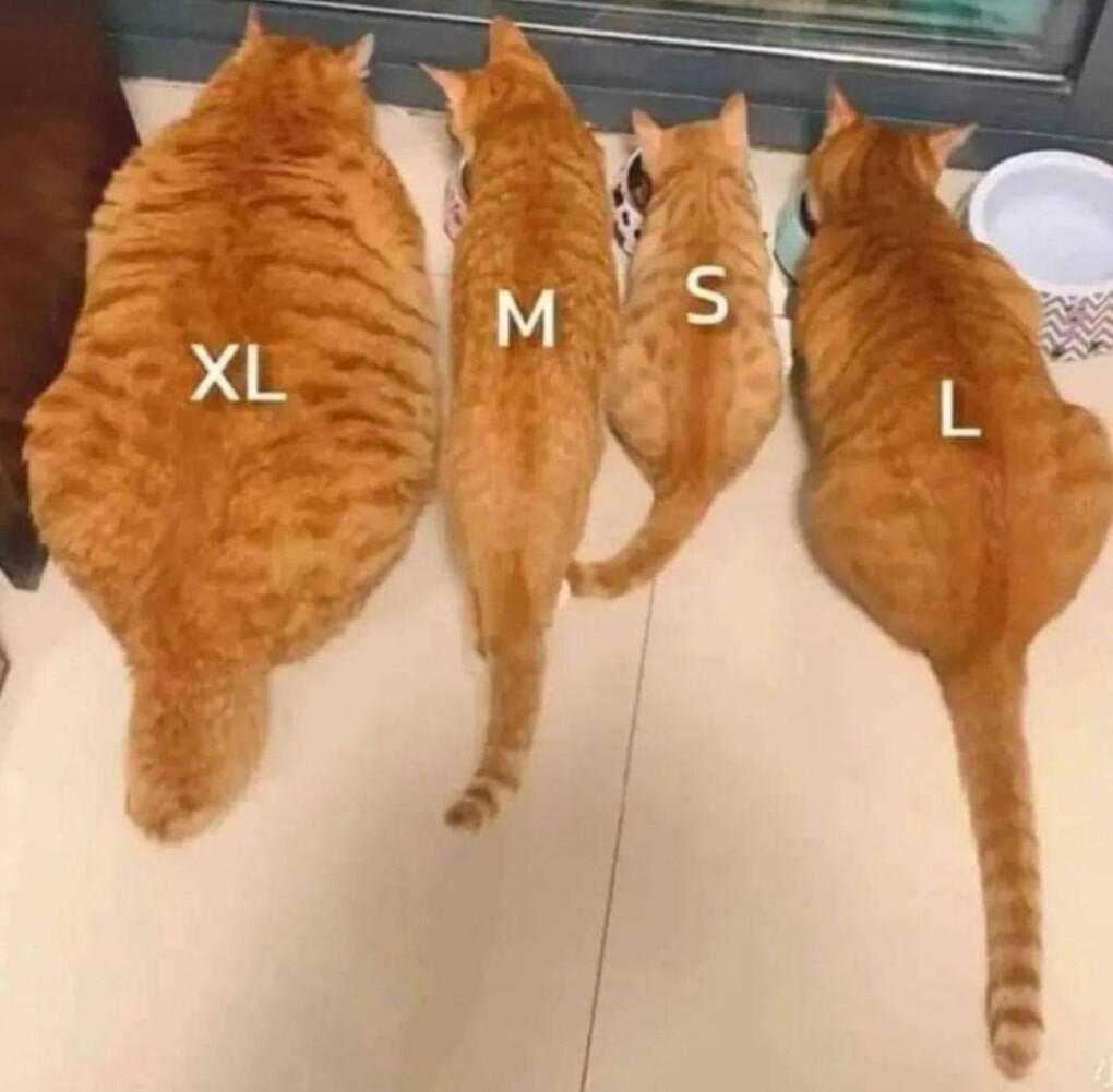 6275763.jpg 6275763.jpg