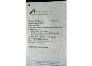 tom-anderson-hollow-t-classic-3006368 2