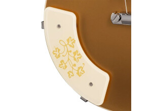 Mary Ford Les Paul Standard GoldtopArmrest