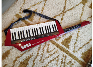 Korg RK-100 (48886)