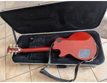 PXL 20241112 111219789