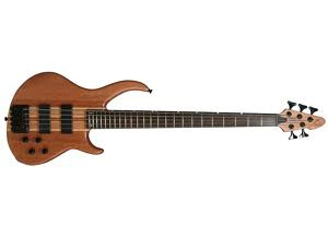 Godin A5 Fretless SA (27104)