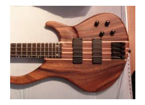 Godin A5 Fretless SA (78351)