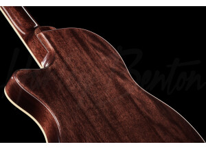 Nashville Nylon PlusBack2